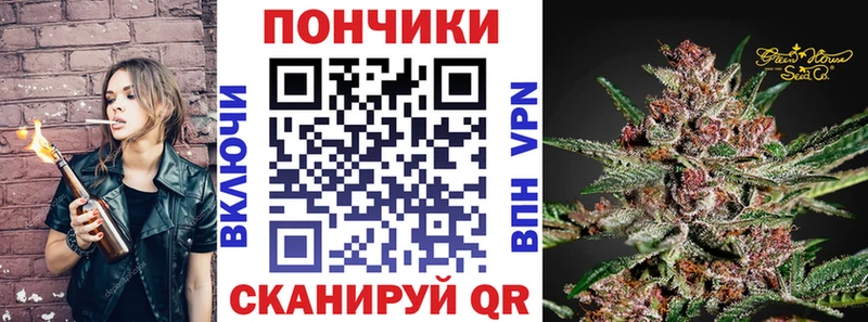 Купить наркотики цена Сясьстрой Гашиш  Alpha-PVP  Меф  COCAIN 