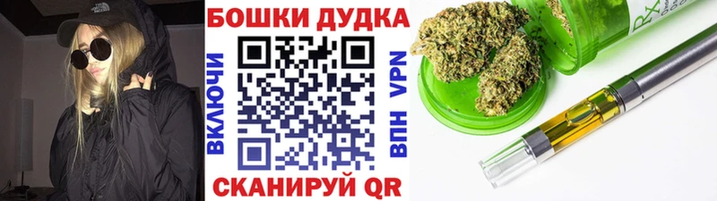 Конопля семена продажа наркотиков Сясьстрой